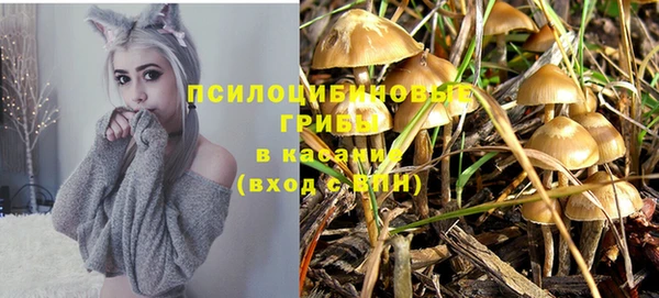 меф Армянск